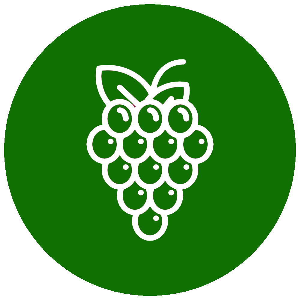 Logo Formation RNCP BTSA Viticulture Oenologie