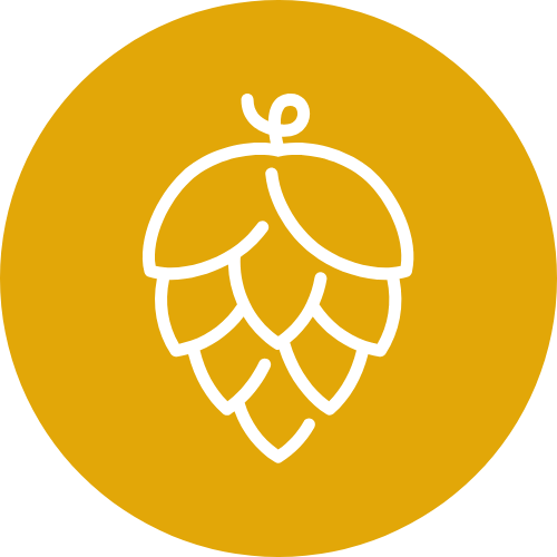 Illustration de la formation Titre Brasseur Bordeaux