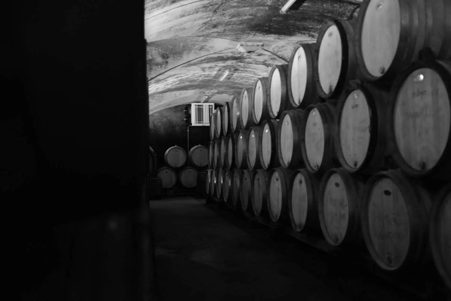 Photo ligne de fut sortie vigneron IFCO