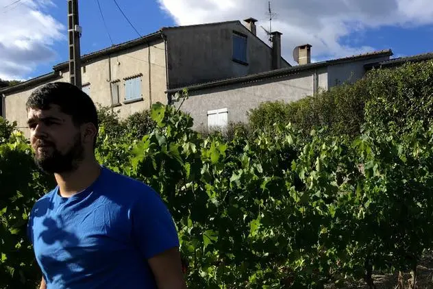 Simon ancien Technicien viticulture oenologie 