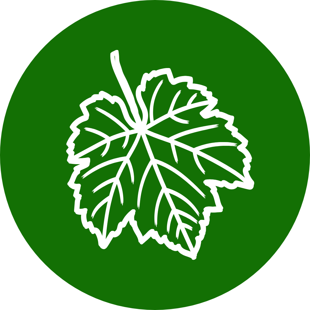 Logo Formation IFCO Paris Technicien Viticulture Oenologie Qualiopi