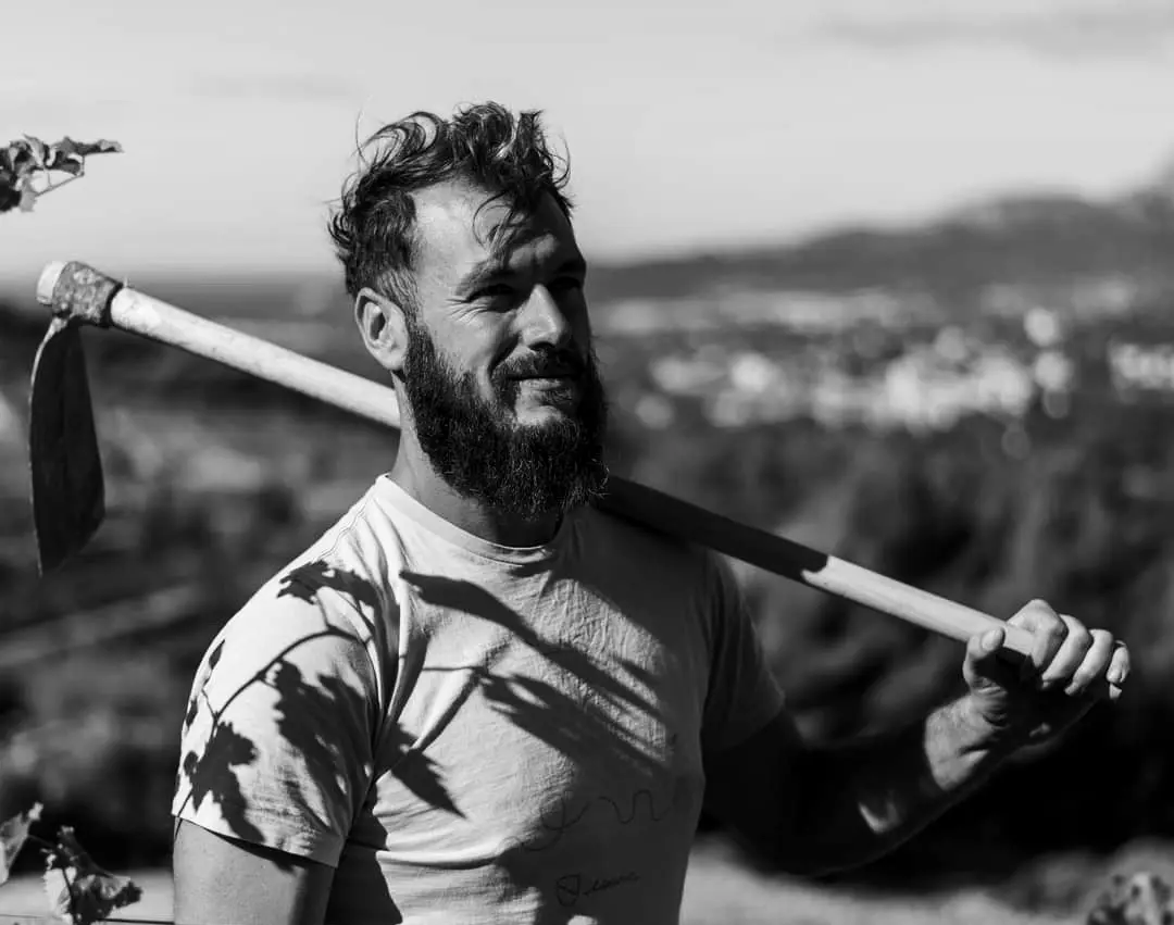 Adrien ancien BTSA Viticulture Oenologie directeur d'exploitation viti vinicole