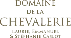 Logo domaine de la chevalerie