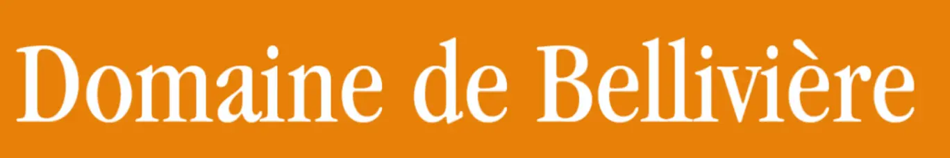 Logo Domaine de belliviere